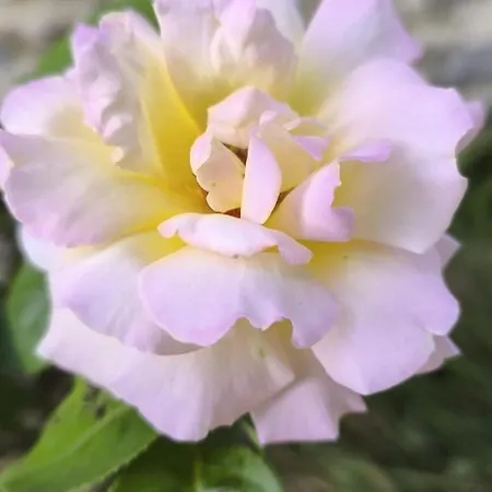 Magnanerie D'elise Lägenhet